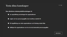 Load image into Gallery viewer, GDPR repetitionskurs