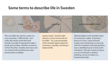 Load image into Gallery viewer, An Introduction to Swedish Work Culture