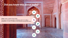 Load image into Gallery viewer, Traveling for Work in India
