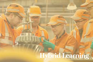 English for Engineering (hybrid program)