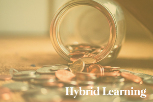 Financial English 2 - Solvency and Solidity (hybrid program)